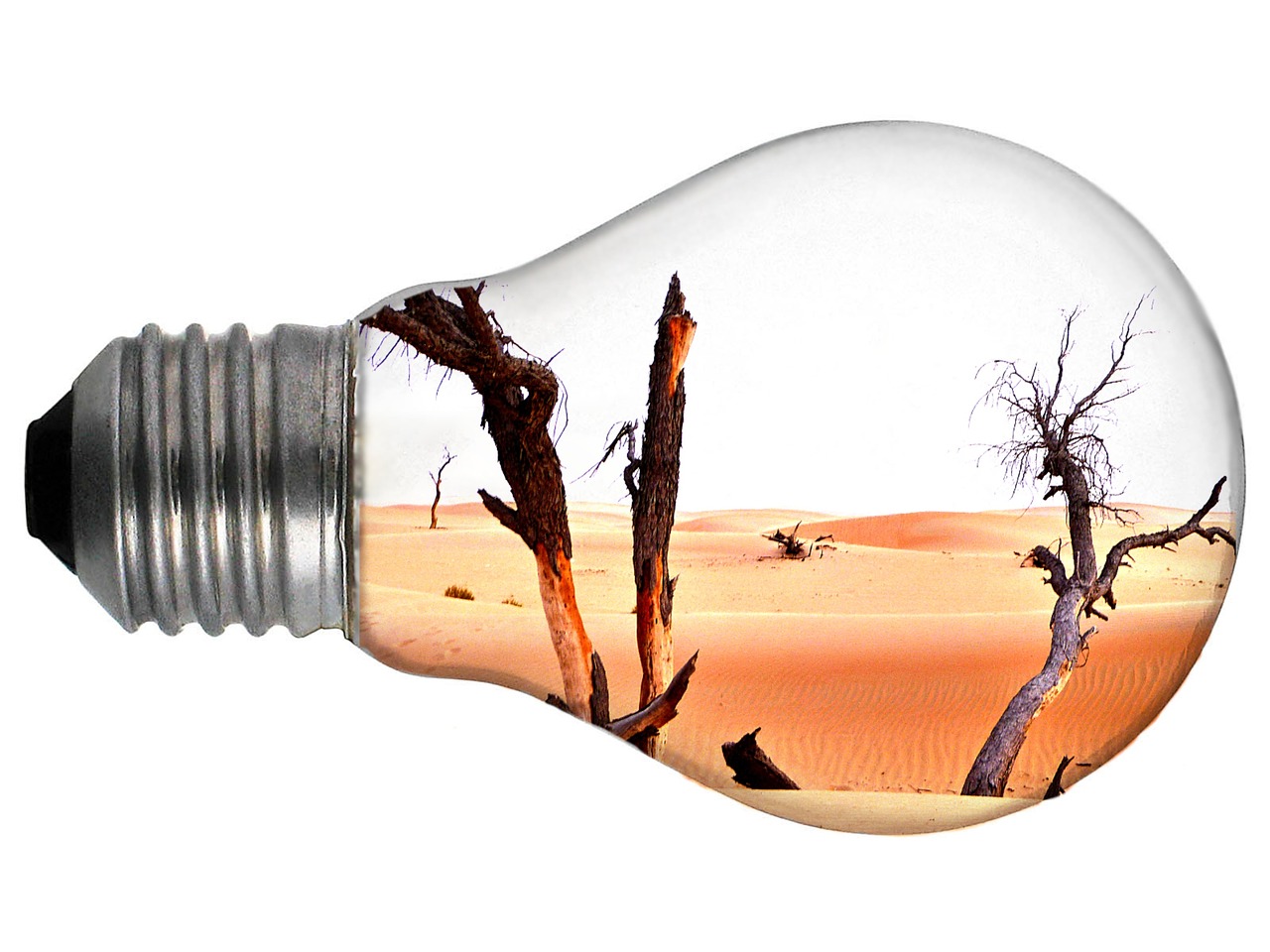 How Climate Change Drives Biodiversity Loss